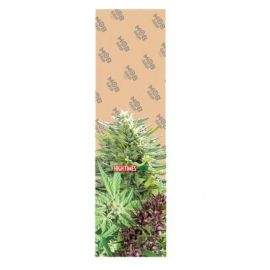 MOB GRIPTAPE HIGHTIMES CLEAR 2