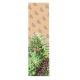 MOB GRIPTAPE HIGHTIMES CLEAR 1